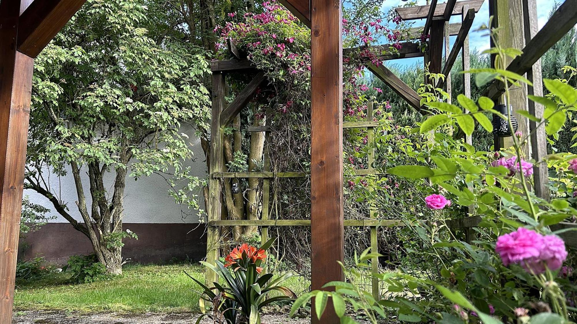 Grosszuegige Wohnung Mit Terrasse Und Gartenzugang - Das Komplette Erdgeschoss Bindlach Exteriör bild
